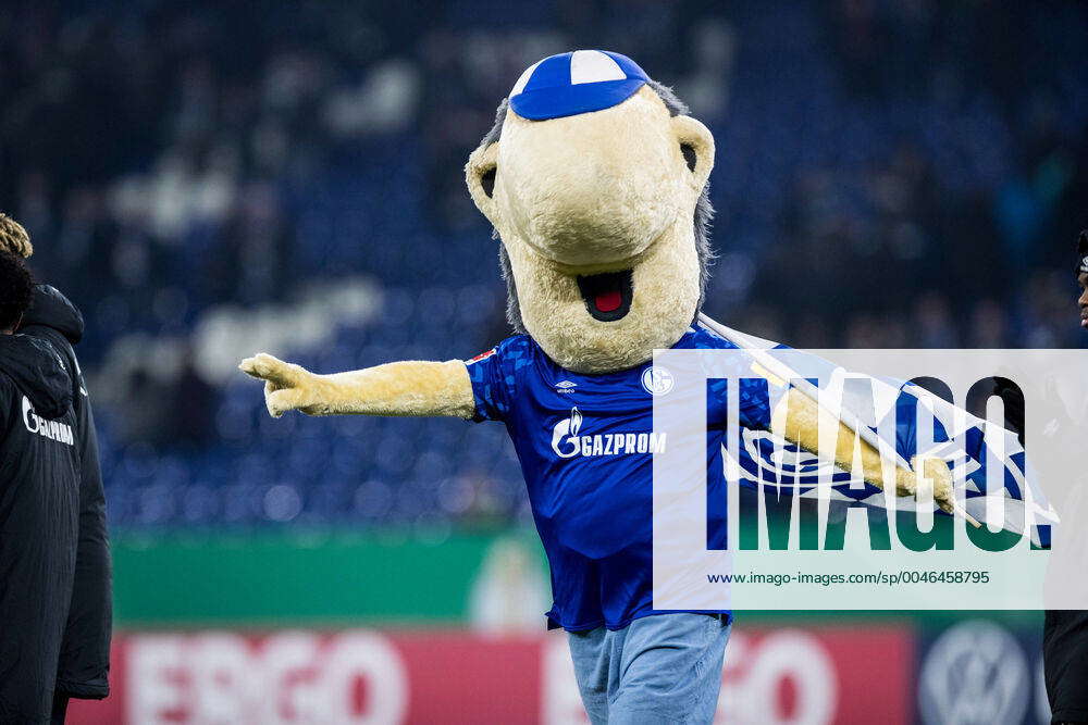 DFB Pokal, FC Schalke 04 Hertha BSC Berlin 04 02 2020 Mascot Erwin, DFB ...