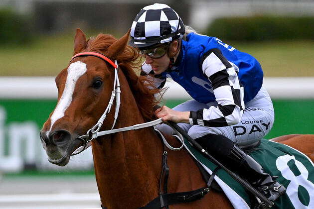 RACING ROYAL RANDWICK RACEDAY, Jockey Louise Day rides Witherspoon to ...