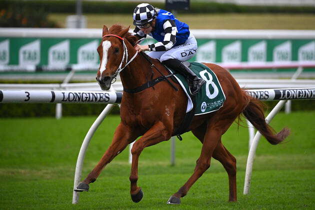 RACING ROYAL RANDWICK RACEDAY, Jockey Louise Day rides Witherspoon to ...