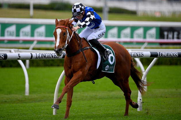 RACING ROYAL RANDWICK RACEDAY, Jockey Louise Day rides Witherspoon to ...