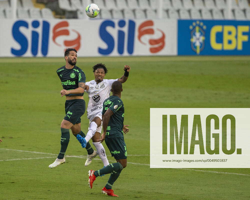 Santos x Palmeiras: informações, estatísticas e curiosidades – Palmeiras