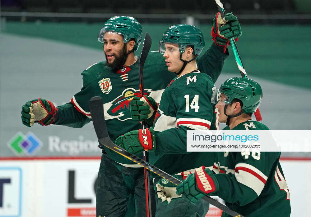 ST. PAUL, MN - APRIL 07: Minnesota Wild Center Joel Eriksson Ek (14 ...