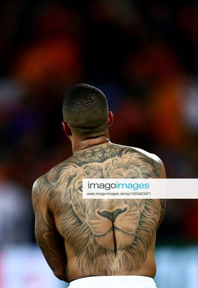 Lion family backpiece tattooed on Roberto Insigne.
