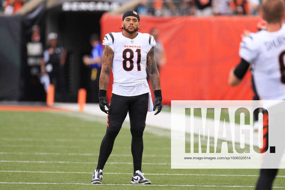 CINCINNATI, OH - AUGUST 29: Cincinnati Bengals tight end Thaddeus