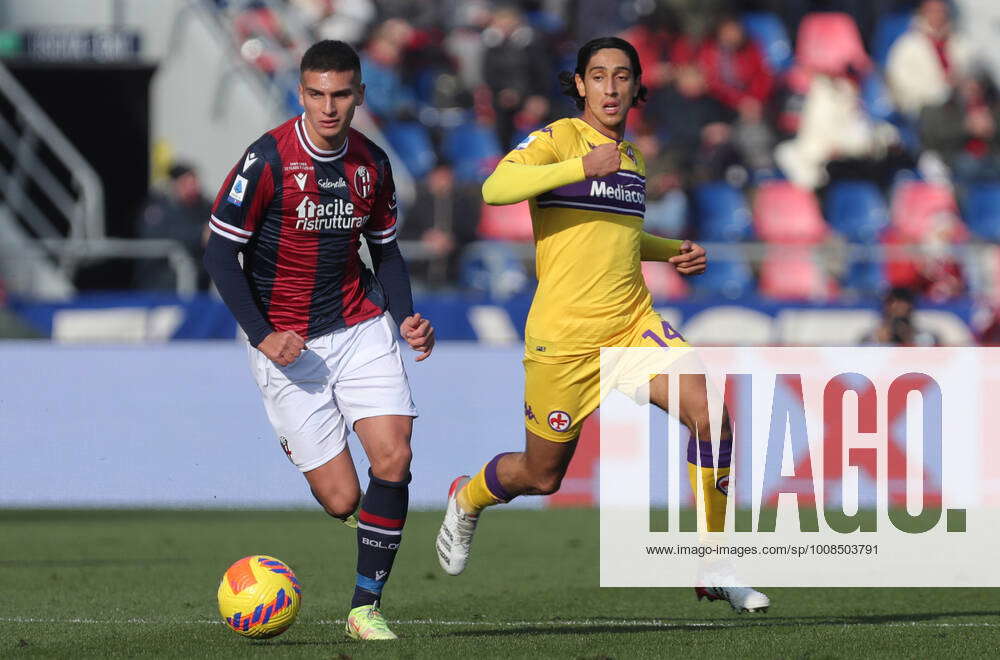 Italian Soccer Serie a Match - Bologna FC Vs ACF Fiorentina