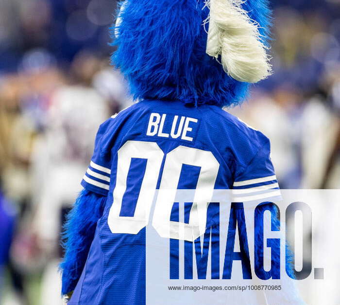 December 18, 2021: Indianapolis Colts mascot Blue during NFL football game  action between the New England Patriots and the Indianapolis Colts at Lucas  Oil Stadium in Indianapolis, Indiana. Indianapolis defeated New England