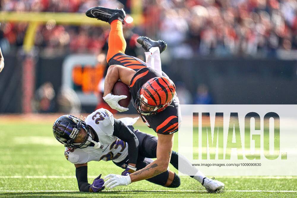 CINCINNATI, OH - DECEMBER 26: Cincinnati Bengals tight end C.J.