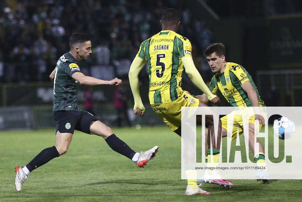 I Liga CD Tondela vs Sporting CP Tondela, 04 09 2022 Clube Desportivo de Tondela hosted Sporting I Liga CD Tondela vs Sporting CP Tondela, 04 09 2022 Clube Desportivo de Tondela hosted Sporting