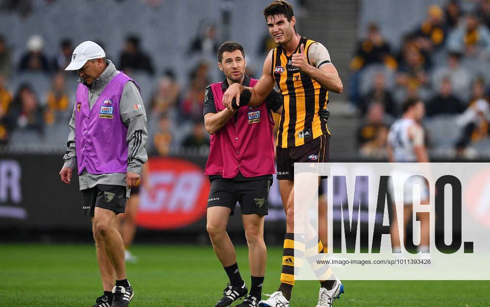 AFL HAWKS CATS, Ned Reeves of Hawthorn exits the field after ...