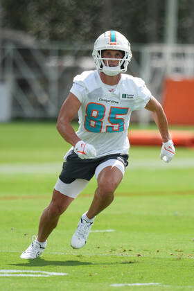 MIAMI GARDENS, FL - AUGUST 27: Miami Dolphins wide receiver River Cracraft ( 85) extends for the ball