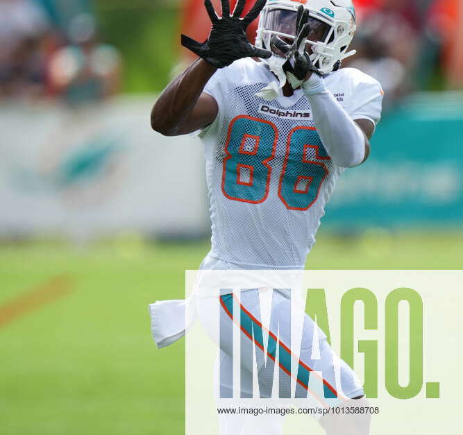 Miami Dolphins wide receiver Braylon Sanders (86) runs with the