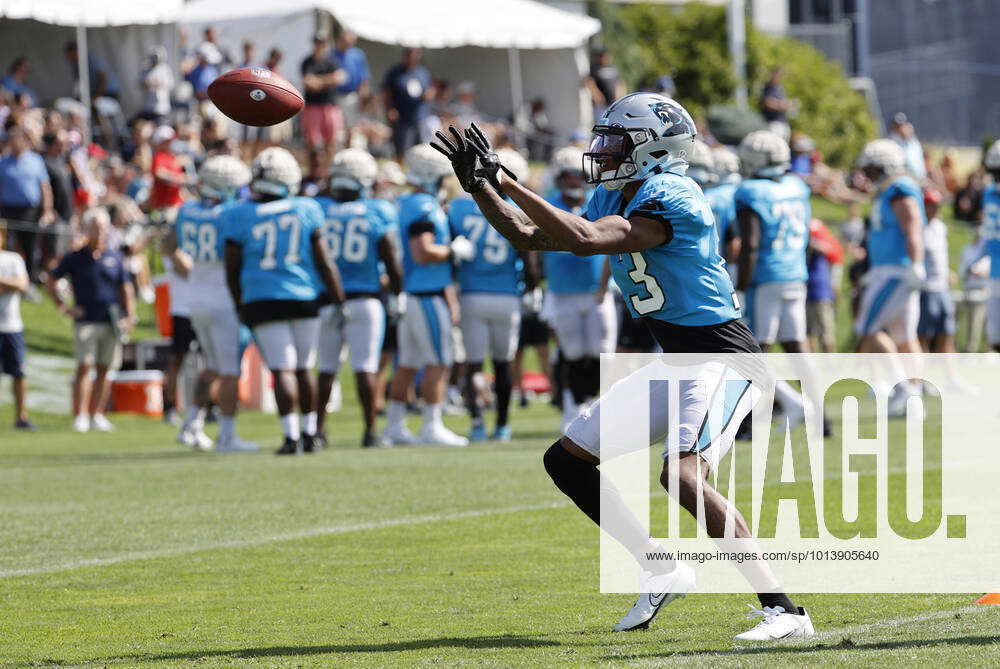 FOXBOROUGH, MA - AUGUST 19: Carolina Panthers wide receiver Ra'Shaun Henry  (13) during an NFL preseason game between the New England Patriots and the  Carolina Panthers on August 19, 2022, at Gillette