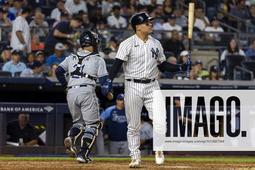 New York Yankees Jose Trevino strikes out in the fourth inning against ...