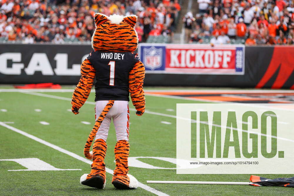 Sept. 25, 2011 - Cincinnati, Ohio, U.S - Cincinnati Bengals Mascot