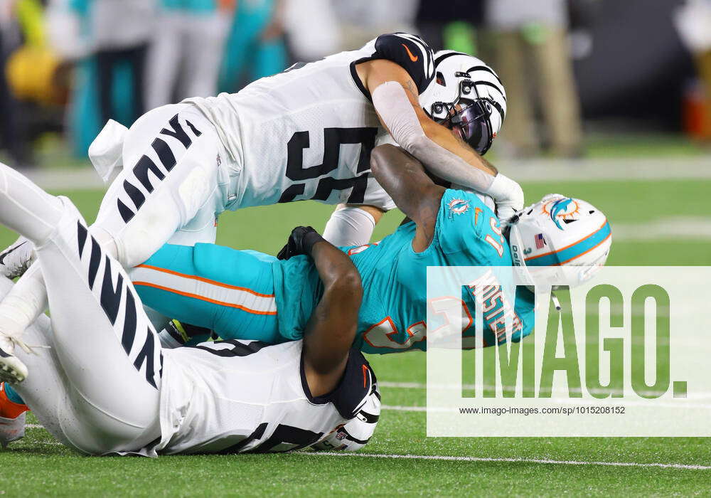 Cincinnati Bengals linebacker Logan Wilson (55) lines up for the snap  during an NFL football game against the Miami Dolphins on Thursday,  September 29, 2022, in Cincinnati. (AP Photo/Matt Patterson Stock Photo -  Alamy