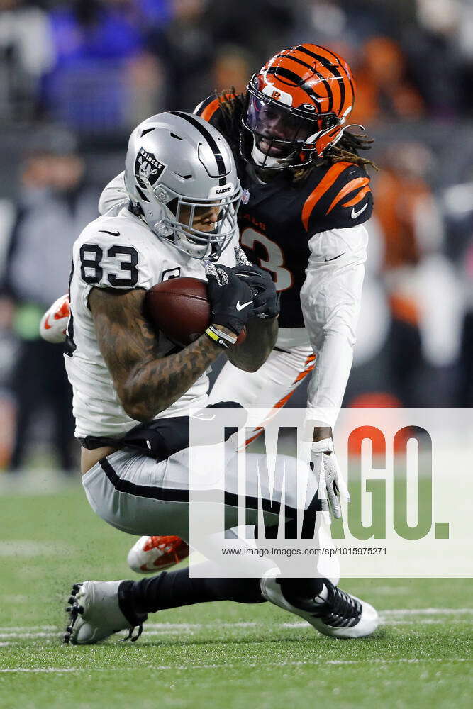 bengals raiders wild card