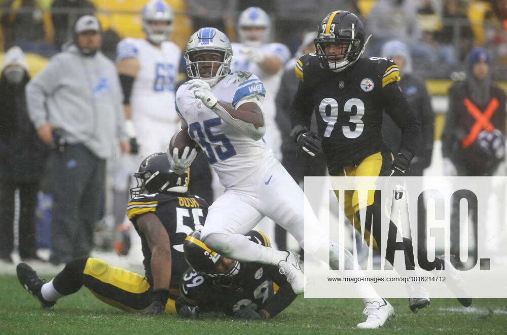 NFL, American Football Herren, USA Detroit Lions at Pittsburgh