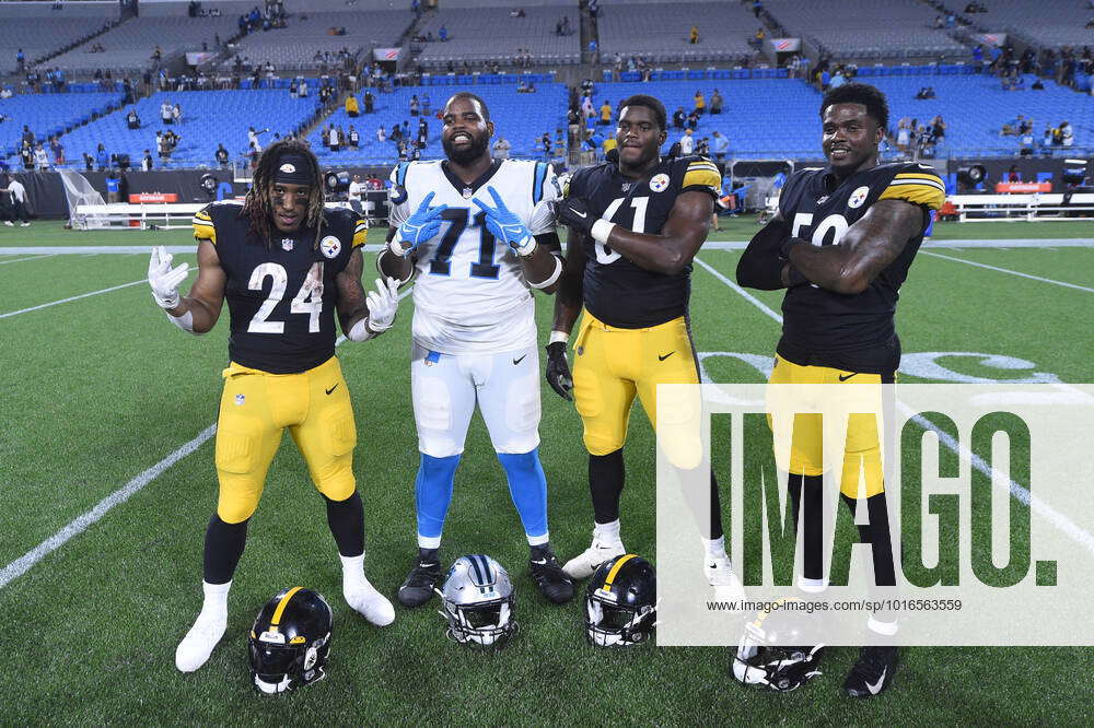 Pittsburgh Steelers vs. Carolina Panthers