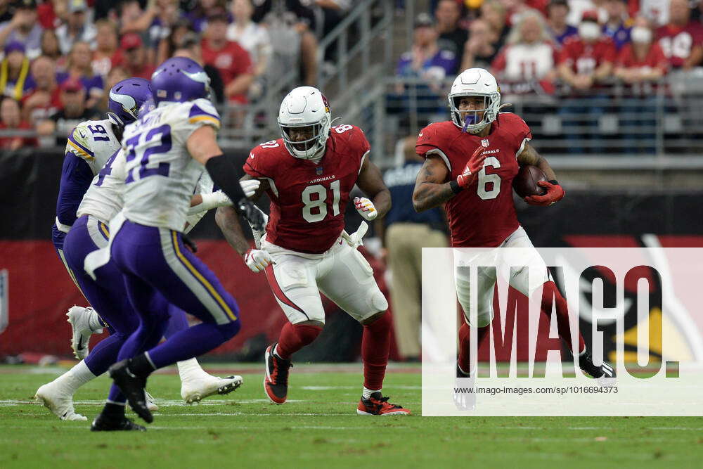 Minnesota Vikings vs. Arizona Cardinals, September 19, 2021