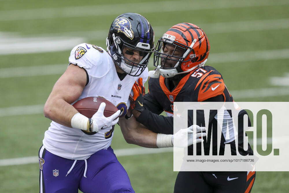 NFL, American Football Herren, USA Baltimore Ravens at Cincinnati