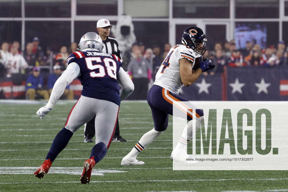 Chicago Bears tight end Ryan Griffin (84) celebrates after making