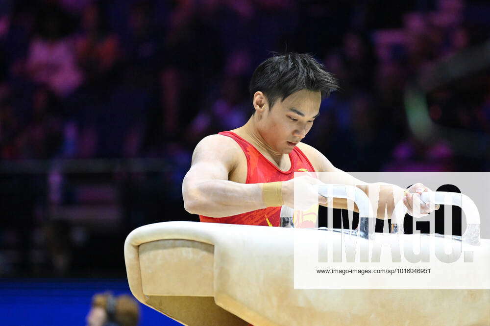 SUN Wei (CHI) pommel horse during Artistic Gymnastics World