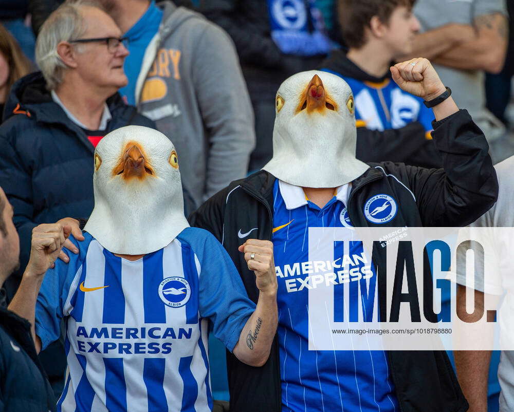 Brighton and Hove Albion v Aston Villa Premier League Brighton fans in ...