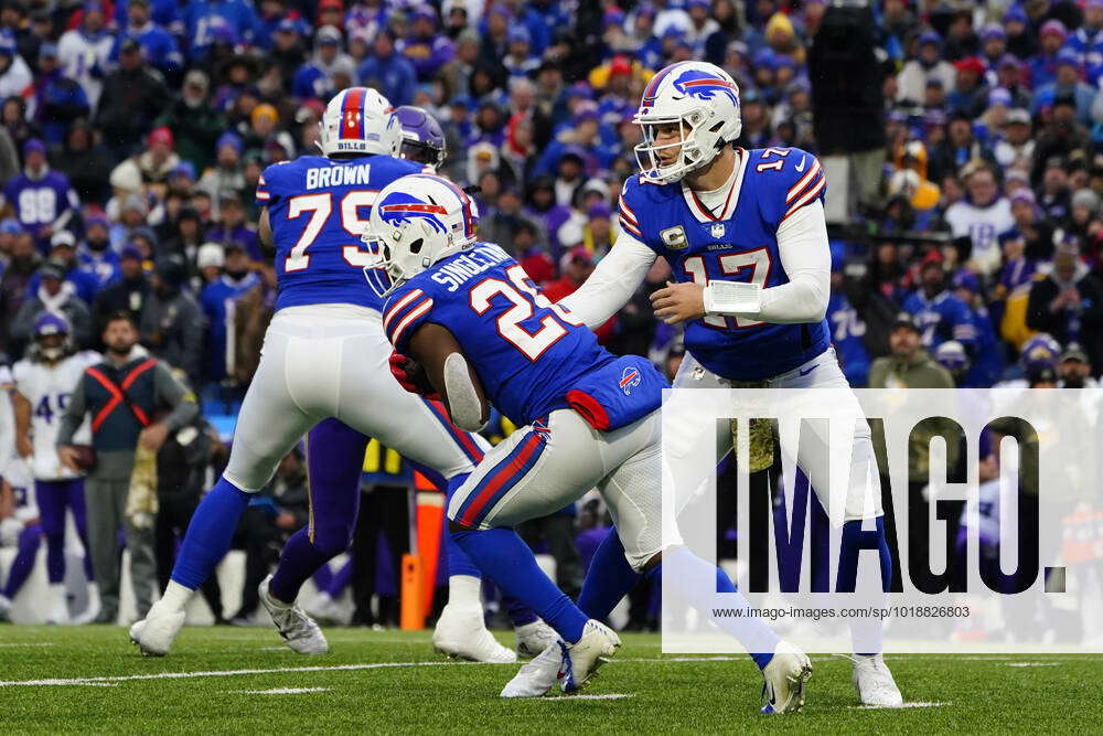 Buffalo Bills vs. Minnesota Vikings, Highmark Stadium, Orchard Park,  November 13 2022