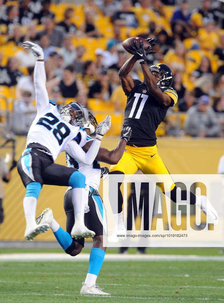 carolina panthers and pittsburgh steelers
