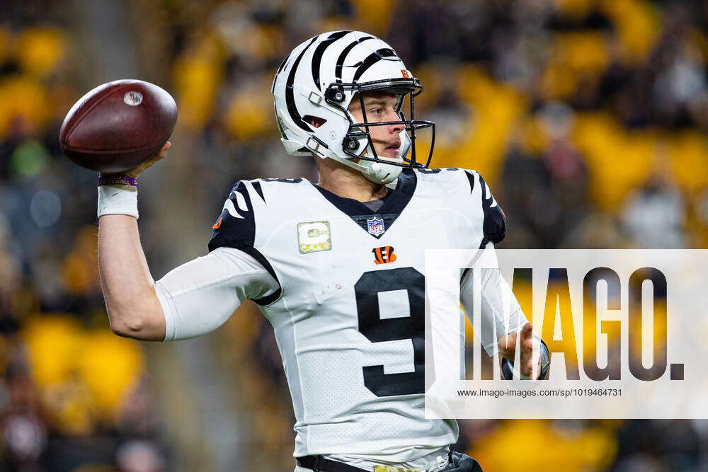 PITTSBURGH, PA - NOVEMBER 20: Cincinnati Bengals quarterback Joe