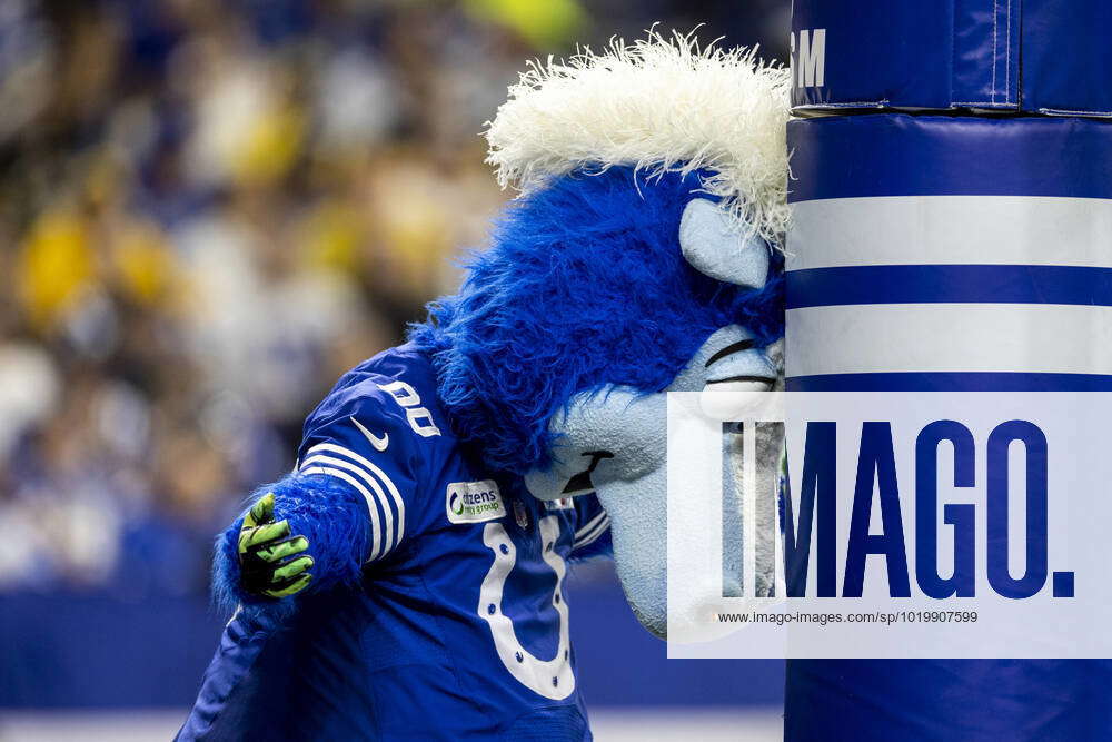 November 28, 2022: Indianapolis Colts mascot Blue during NFL