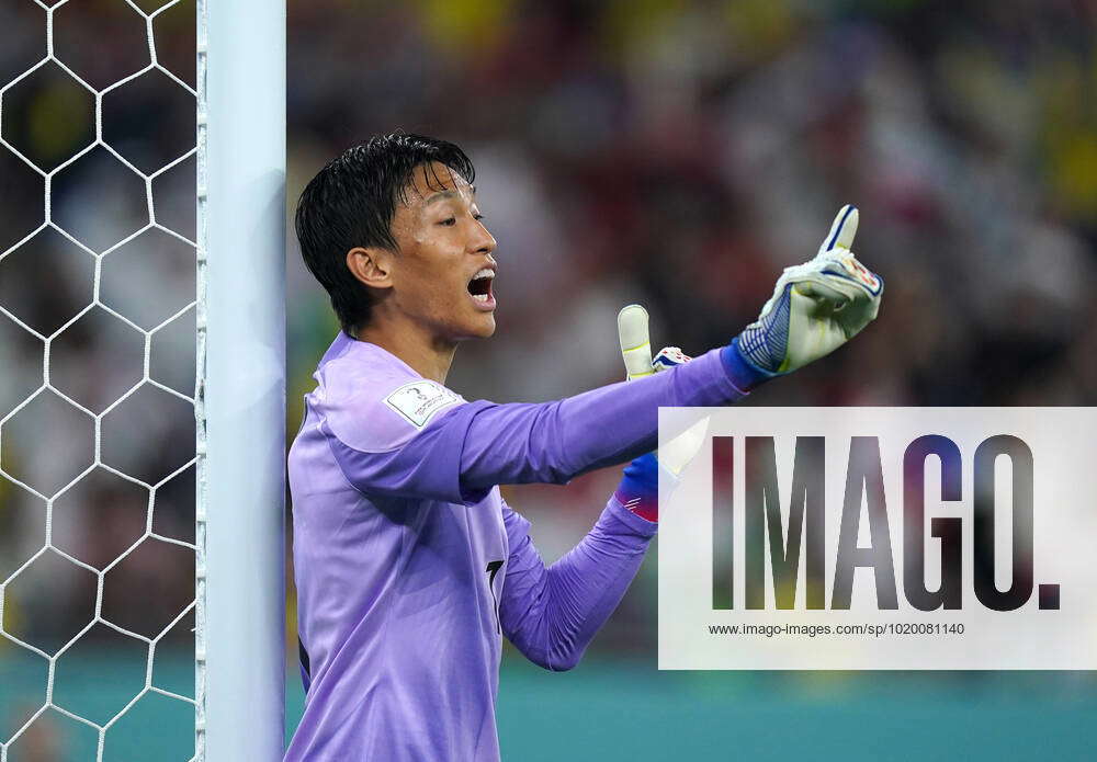 South Korea Goalkeeper Jersey 2022 Purple World Cup