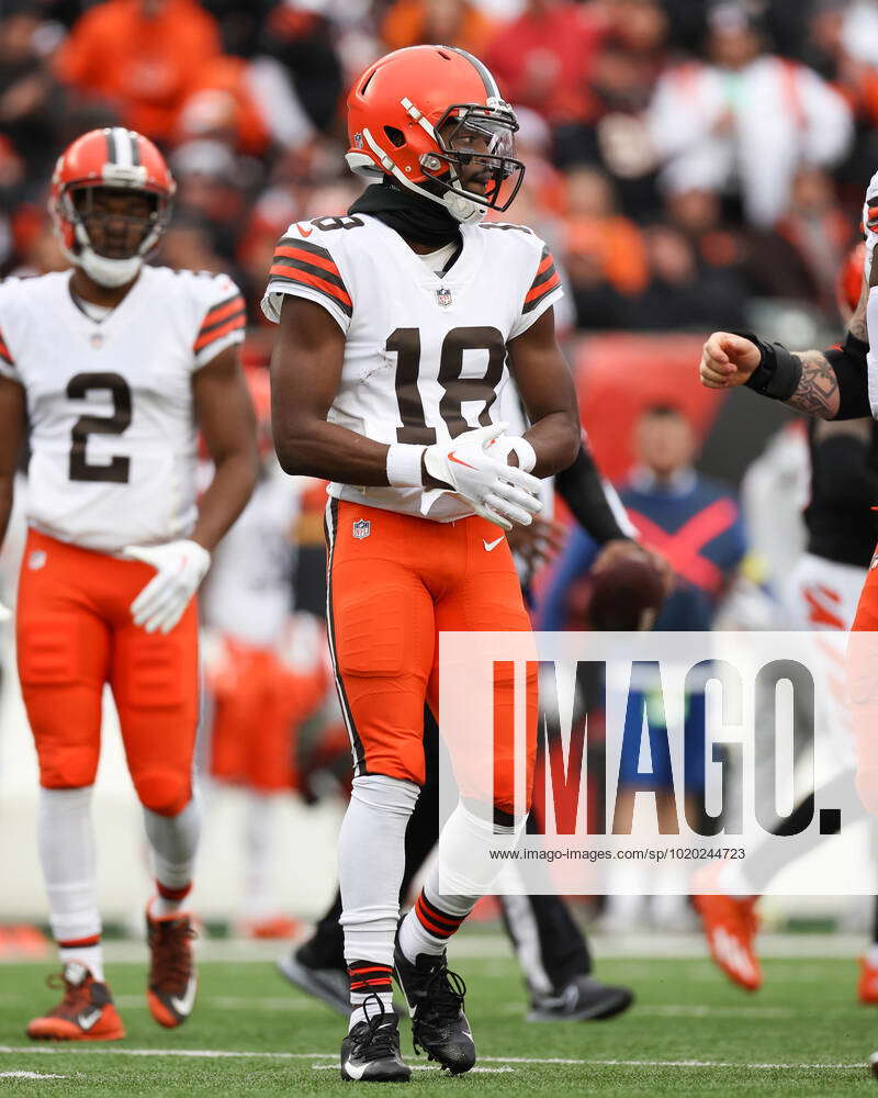 CINCINNATI, OH - DECEMBER 11: Cleveland Browns wide receiver David Bell (18)  during the game against