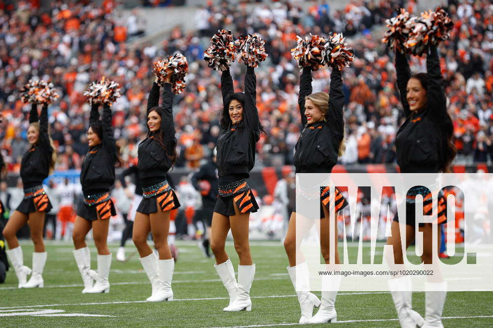 CINCINNATI, OH - DECEMBER 11: Cincinnati Bengals cheerleaders perform  during the game against the