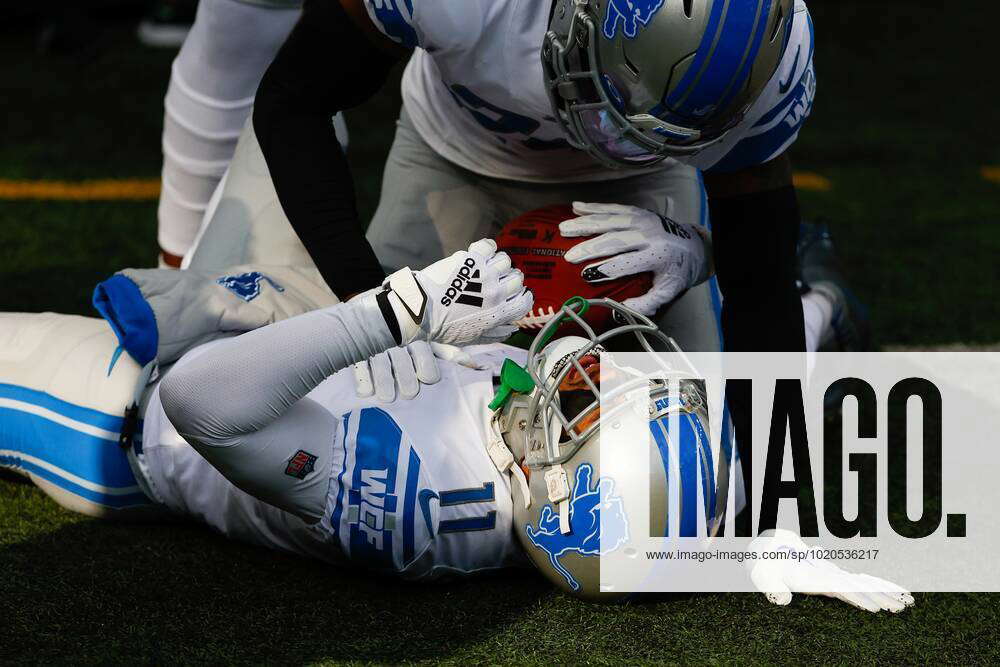 EAST RUTHERFORD, NJ - DECEMBER 18: Detroit Lions wide receiver Kalif Raymond  (11) reacts with teamma