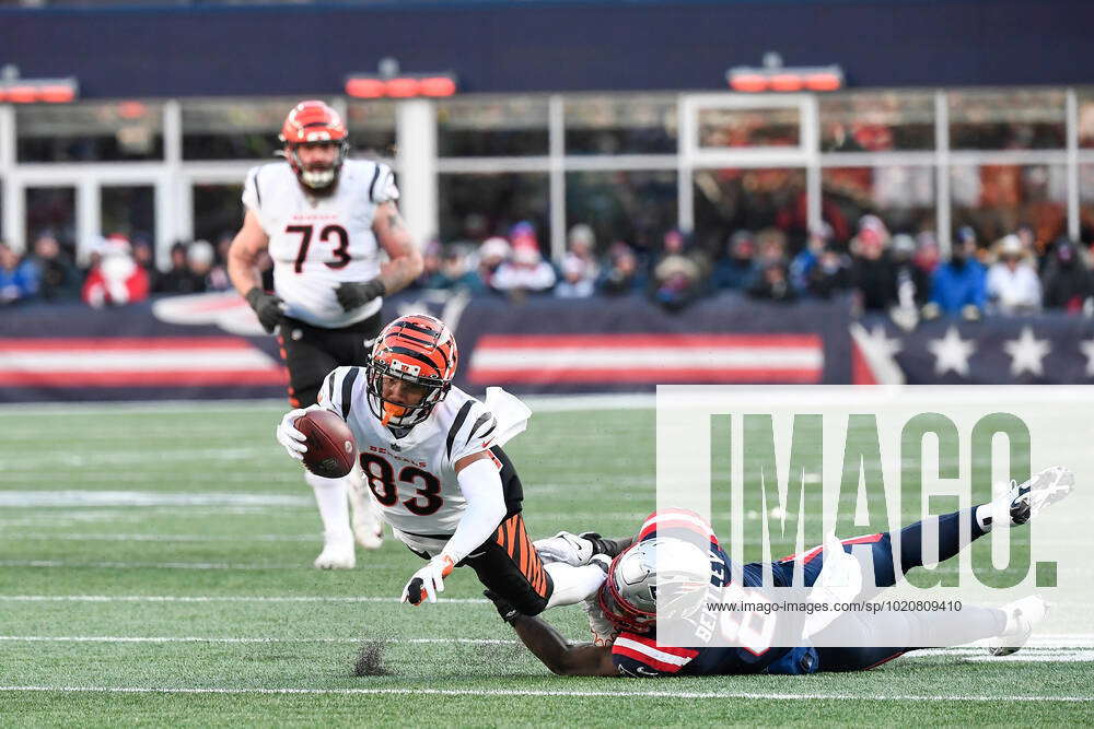 New England Patriots vs. Cincinnati Bengals - Gillette Stadium