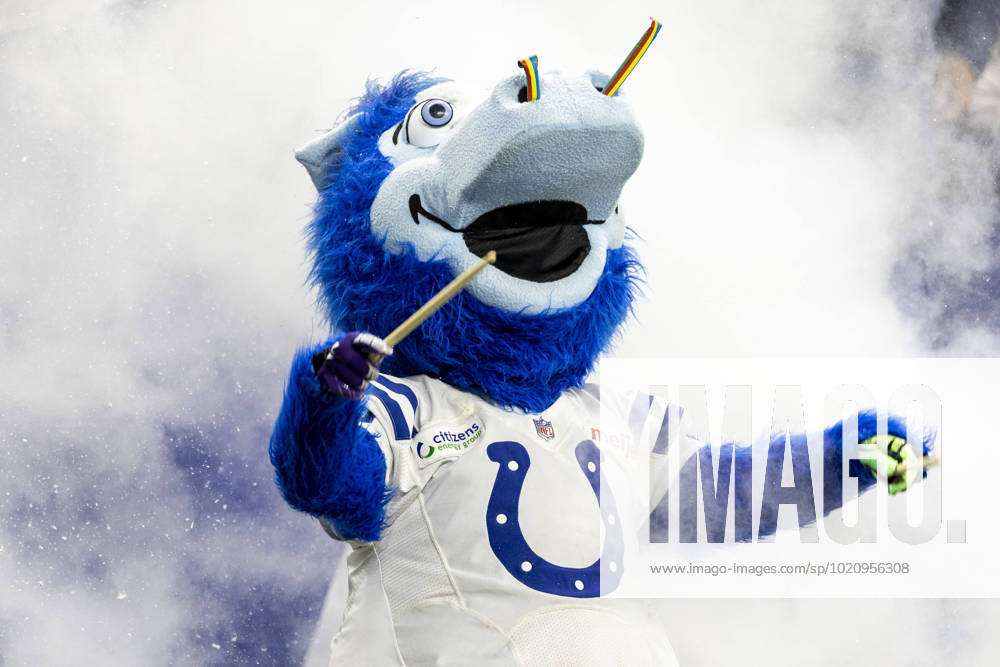 December 26, 2022: The Indianapolis Colts mascot Blue performs during NFL,  American Football