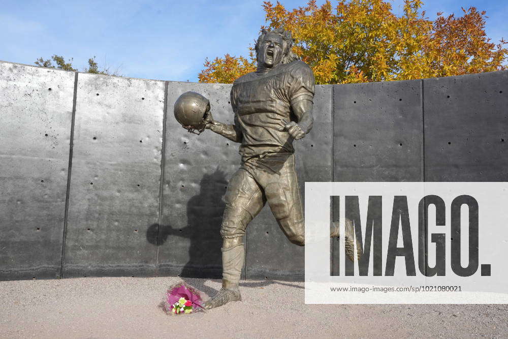 Stadium Aerials A memorial statue of Pat Tillman at State Farm Stadium  reflection pond, Monday, Dec.