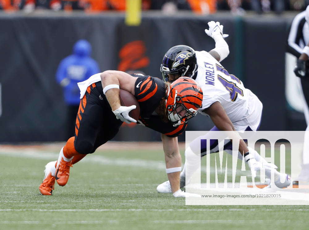 PHOTOS: Baltimore Ravens at Cincinnati Bengals, Jan. 8