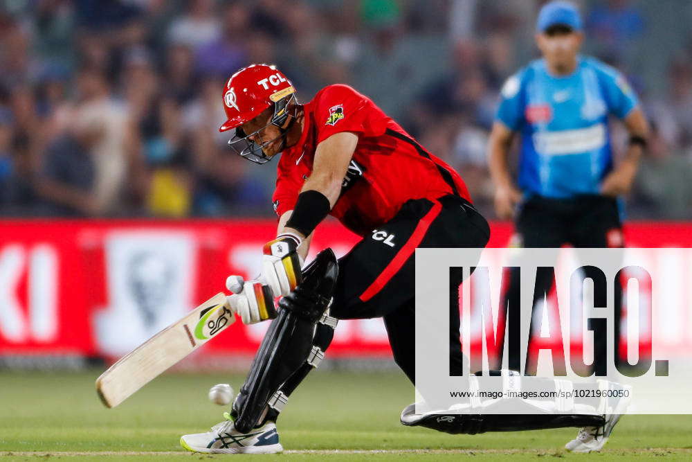 CRICKET BBL STRIKERS RENEGADES, Martin Guptill Of The Renegades During ...