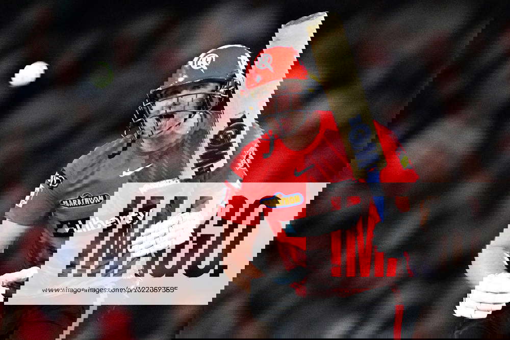 CRICKET BBL RENEGADES STRIKERS, Matthew Critchley of the Renegades