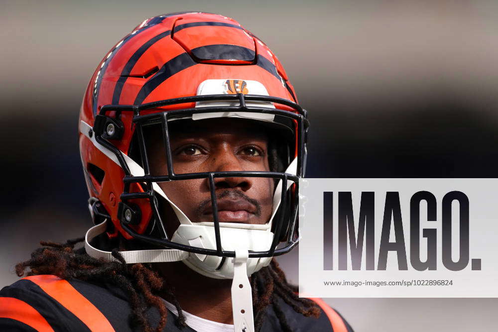 Cincinnati Bengals cornerback Tre Flowers (33) reacts during an