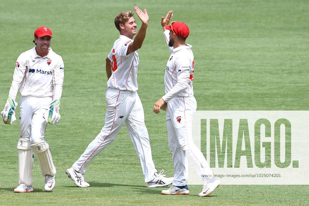 Cricket Shield Qld Sa Spencer Johnson Of South Australia Celebrates A Wicket During The Marsh 