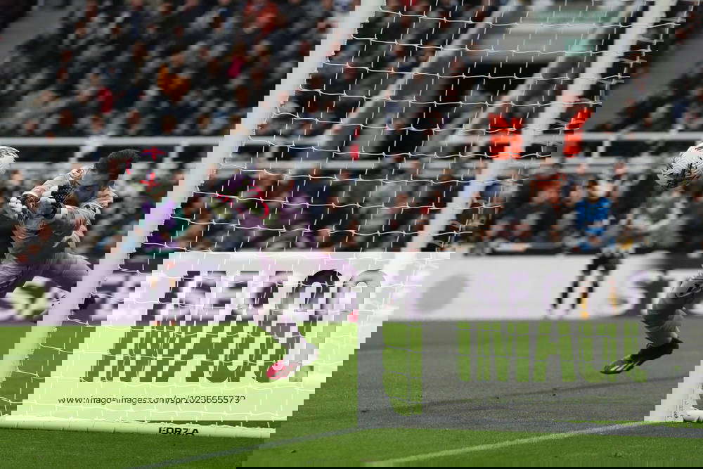 Newcastle United v Wolverhampton Wanderers Premier League Jose Sa of