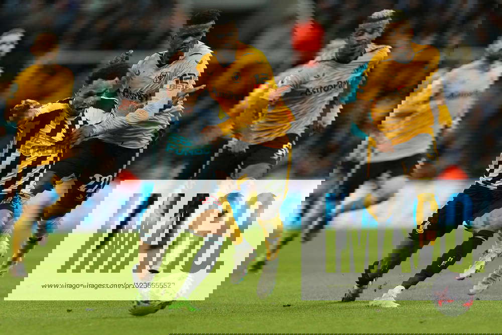 Newcastle United v Wolverhampton Wanderers Premier League
