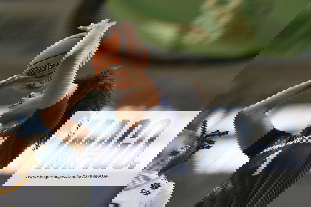 NCAA, College League, USA Womens Basketball CAA Tournament