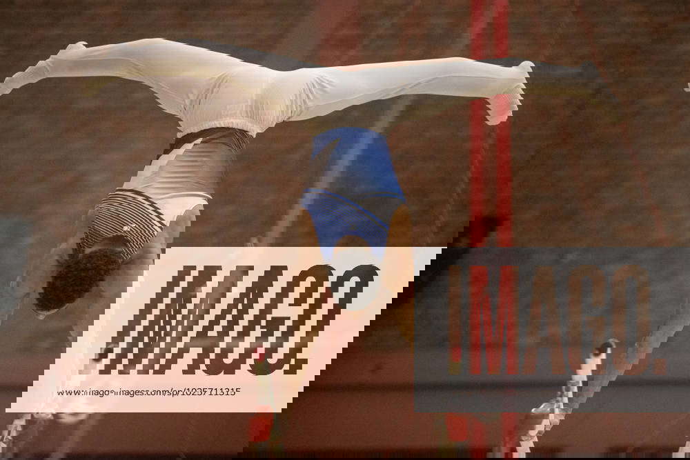 Male gymnasts compete on day 2 of the Welsh Open Artistic Championships