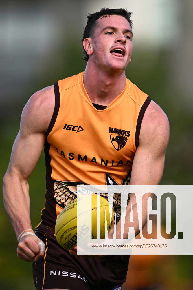 AFL HAWKS TRAINING, James Blanck of Hawthorn during an AFL training ...