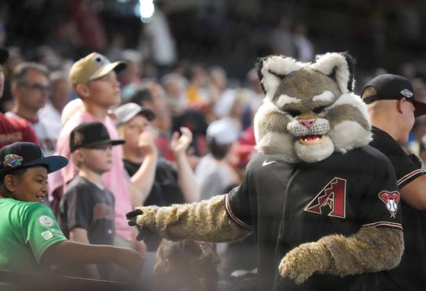 Why is Arizona Diamondbacks mascot D. Baxter a bobcat?