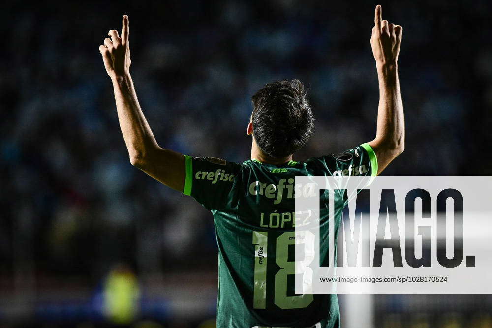 Bolívar-BOL x Palmeiras: informações, estatísticas e curiosidades –  Palmeiras